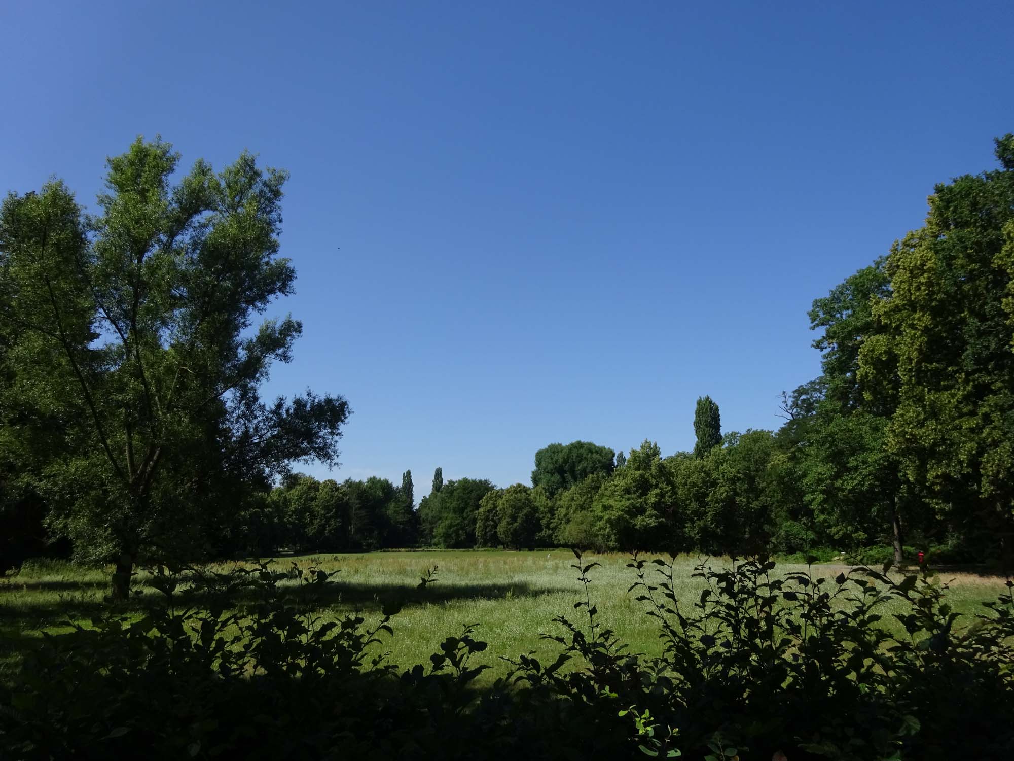 Volkspark Wittenau