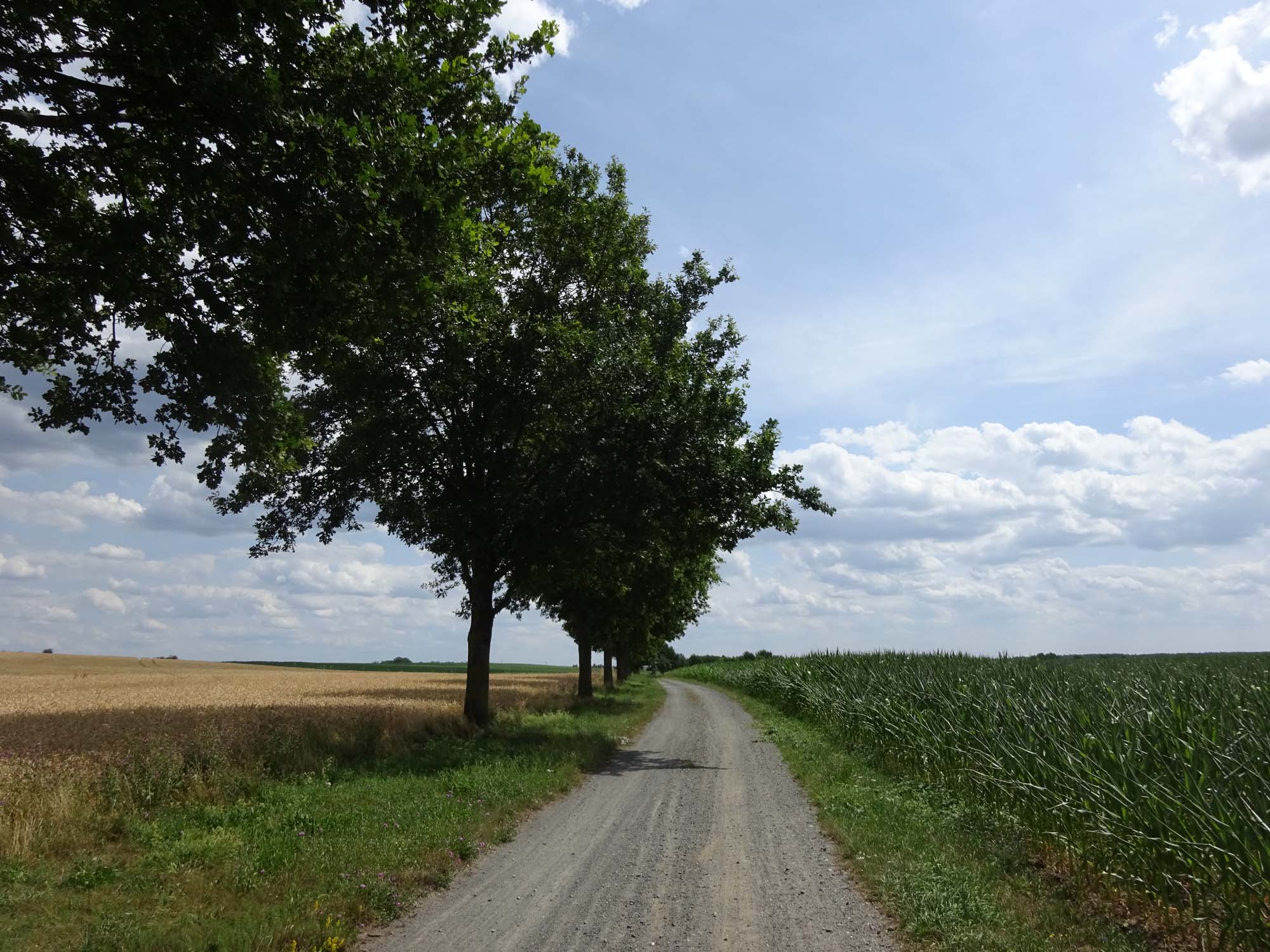 Radtour von Berlin nach Dresden