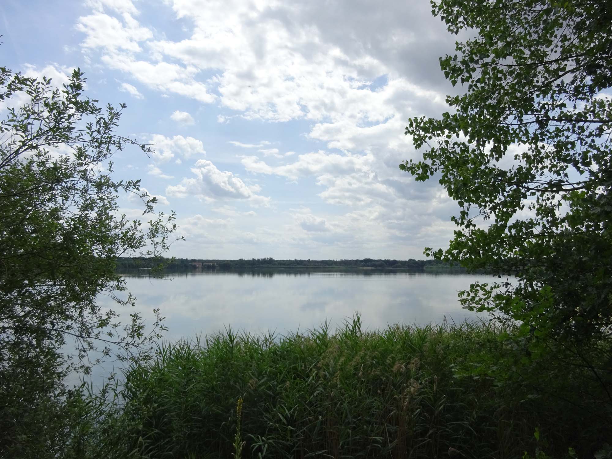 Radtour von Berlin nach Dresden