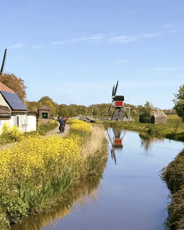 #fahrradfreitag – jeden Freitag eine neue Radtour 🚲⁠⁠⁠⁠⁠⁠⁣

Heute: Auf Abwegen rund um Utrecht
🏞 33 km
🧭 3–4 h

Diese Tour führt dich aus der Stadt hinaus in eine der schönsten Radlandschaften der Niederlande 🇳🇱 Entlang der idyllischen Vecht geht es vorbei an historischen Häusern, kleinen Dörfern, Windmühlen und viel Wasser 🌊 Ich wusste gar nicht, wo ich zuerst hingucken sollte. Es war einfach soooo schön.😍

Besonders schön ist der Wechsel aus ruhigen Flussufern, weiten Feldern und kleinen Orten wie Maarssen oder Tienhoven. Und zum Abschluss rollst du wieder direkt ins Zentrum von Utrecht zurück – perfekt für einen Kaffee oder ein Stück Apfelkuchen ☕🥧

#Utrecht #Niederlande #Fahrradfreitag #Radtour #UnterwegsInBerlin #Radfahren #Fahrradtour #HollandMitDemRad