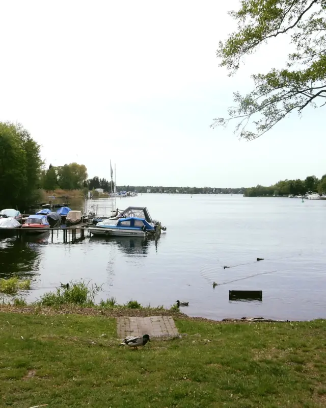 #fahrradfreitag 🌊🚲

Heute: Müggelsee
🏞 ca. 33km
🧭 2,5–3 h

Ein Klassiker im Berliner Osten 💚 Rund um den Müggelsee warten Wasser, Wald und kleine Strände – ideal für eine längere, entspannte Tour mit Urlaubsgefühl. Gerade jetzt, wo die Temperaturen immer wärmer werden, lohnt sich diese Tour umso mehr.

#Müggelsee #Fahrradfreitag #RadtourBerlin #UnterwegsInBerlin #BerlinerSeen #RadfahrenBerlin