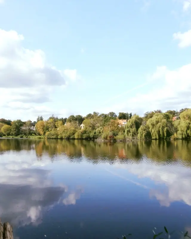 #fahrradfreitag 🌳🚲 - jeden Freitag eine neue Tour

Heute: Reinickendorf mit Bademöglichkeit
🏞 ca. 30 km
🧭 2,5 h

Es wird heiß am WE 🥵Daher hier eine schöne Radtour durch Reinickendorf mit einem meiner Lieblings-Badeseen, dem Ziegeleisee in Lübars. Fahrt am besten früh los oder kürzt die Route ab. Passt auf euch auf und viel trinken!💦