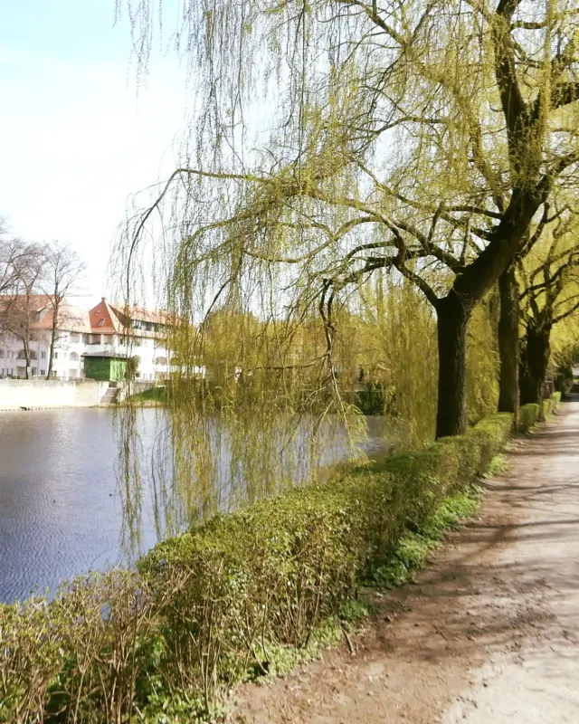 🌈 #fahrradfreitag – jeden Freitag eine neue Radtour 🚲

Heute: Schöneberg
🏞 26 km
🧭 3 h

Schöneberg gehört zu den vielfältigsten Bezirken Berlins. Auf dieser Tour entdeckst Du historische Plätze, schöne Altbauviertel, grüne Parks und natürlich den Nollendorfplatz – das Herz des queeren Berlins. 🌳🏙️

Passend dazu findet an diesem Wochenende der Christopher Street Day (CSD) statt. 🌈 Wenn Du nach der Tour noch etwas Zeit hast, kannst Du die besondere Atmosphäre in Schöneberg erleben oder die Parade besuchen.

Den kompletten Tourenvorschlag findest Du auf meinem Blog – Link in der Bio.

🌈 Allen, die an diesem Wochenende den CSD feiern, wünsche ich viel Spaß!

SCHÖNEBERG | RADTOUR | QUEERES BERLIN | CSD | FAHRRADTOUR