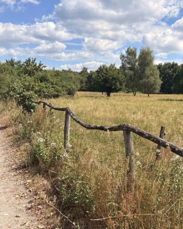 #fahrradfreitag – jeden Freitag eine neue Radtour 🚲

Heute: Barnimer Dörferweg
🏞 26 km
🧭 2 h

Der Barnimer Dörferweg gehört für mich zu den unterschätzten Radwegen Berlins 😍 Er verbindet Geschichte, Natur und ländliche Idylle 🌳auf eine Weise, die man in der Hauptstadt kaum erwarten würde.

Besonders gefallen hat mir die Mischung aus historischen Dorfkernen🏡, weiten Landschaften und den ruhigen Wegen 🚲abseits der großen Straßen. Wer Berlin einmal von einer ganz anderen Seite kennenlernen möchte, sollte den Barnimer Dörferweg unbedingt auf seine Tourenliste setzen✅

GRÜNE HAUPTWEGE | BARNIMER DÖRFERWEG | RADTOUR | BERLIN | LÜBARS | AHRENSFELDE | FAHRRADFAHREN